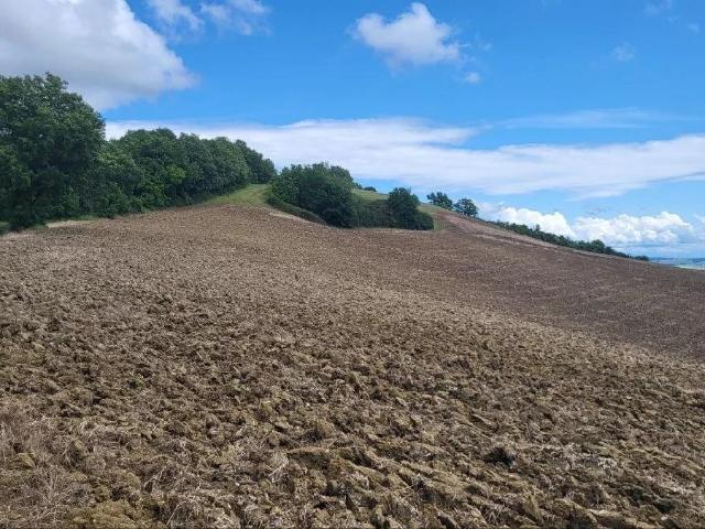 Terrain vente à Castelsarrasin, Beaumont-de-lomagne