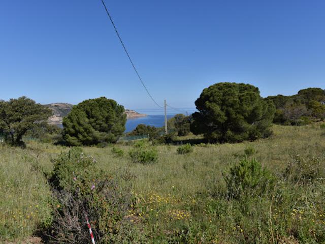 Terrain vente à Calvi