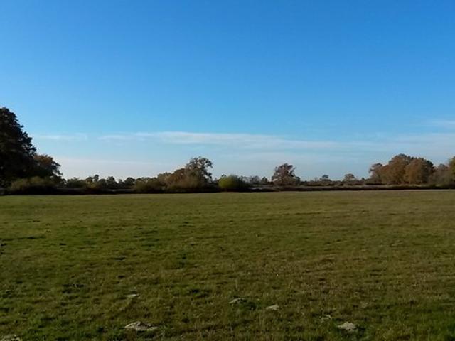 Terrain vente à France métropolitaine, Sanguinet