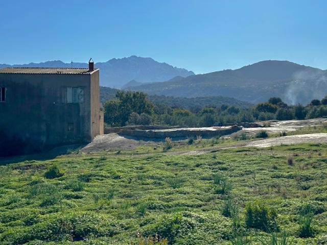 Terrain vente à Calvi, Aregno