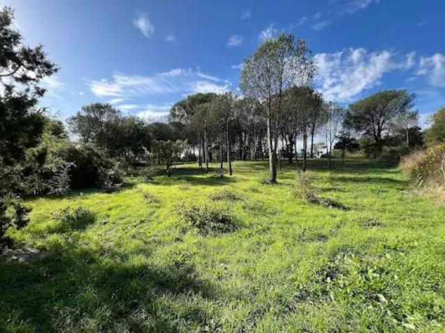 Terrain vente à Arrondissement de Draguignan, Grimaud