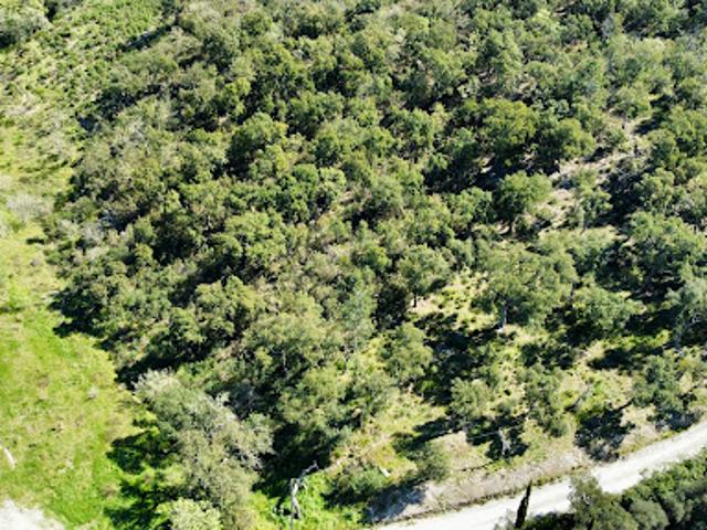 Terrain vente à Arrondissement de Draguignan, Grimaud
