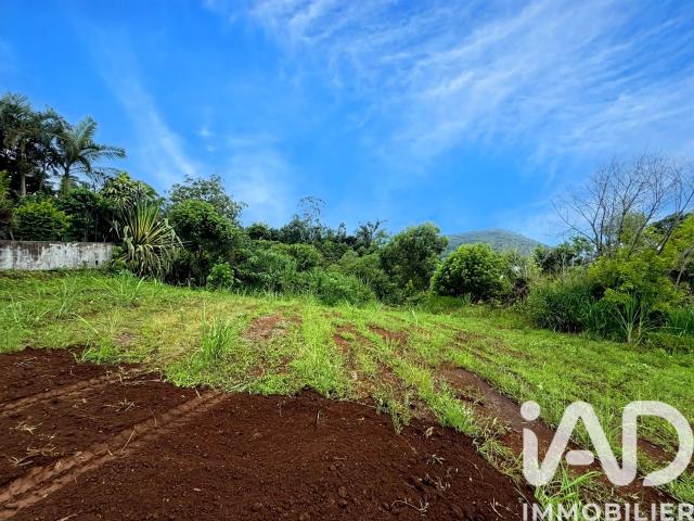 Terrain vente à La Réunion
