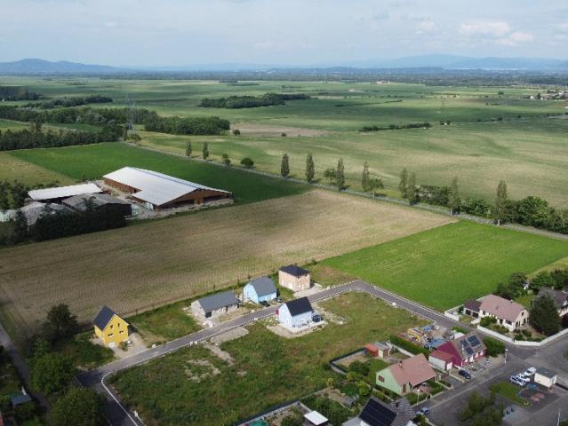 Terrain vente à Colmar-Ribeauvillé, Balgau