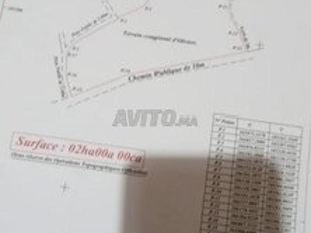 Propriété vente à L'Oriental