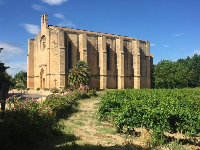 Terrain vente à Montpellier, Loupian