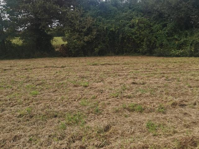 Terrain vente à France métropolitaine, Hinx