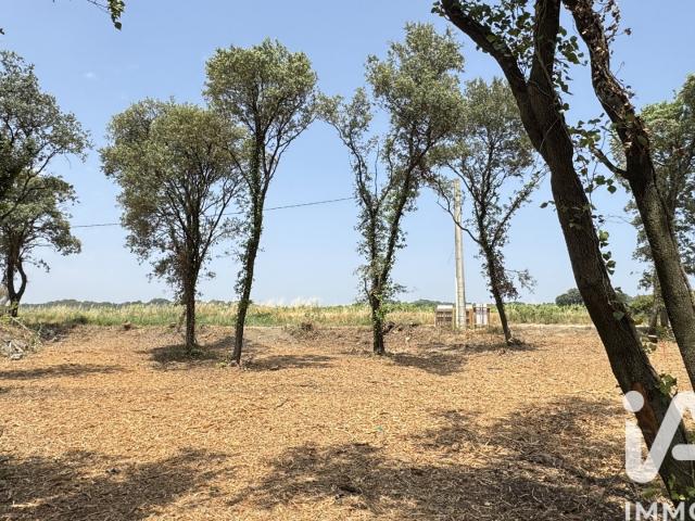 Terrain vente à Avignon, Bédarrides