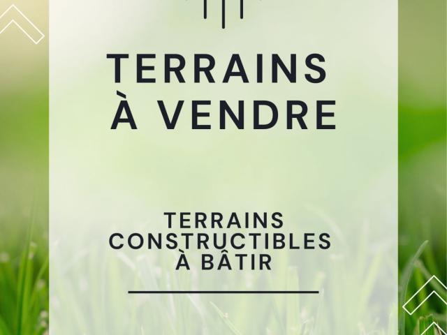 Terrain vente à Orléans, Tavers