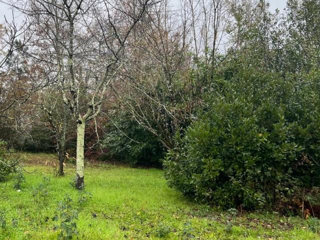 Terrain vente à Bordeaux, Parempuyre