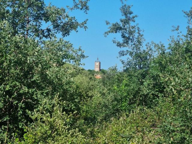 Terrain vente à Céret, Montesquieu-des-albères