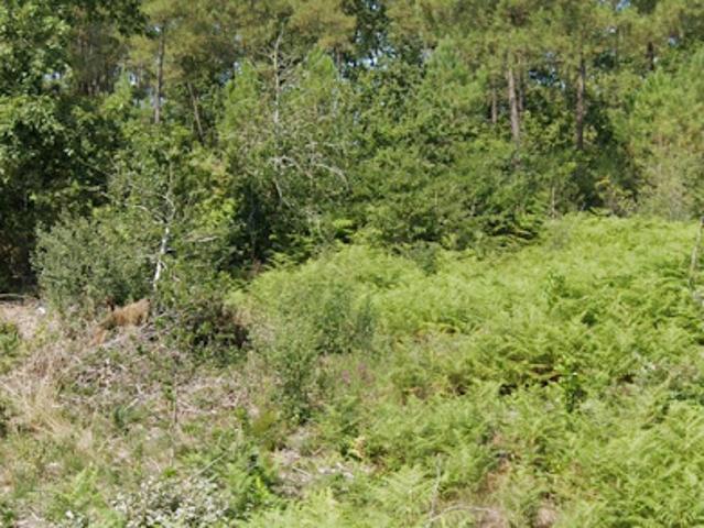 Terrain vente à Bordeaux, Saint-aubin-de-médoc