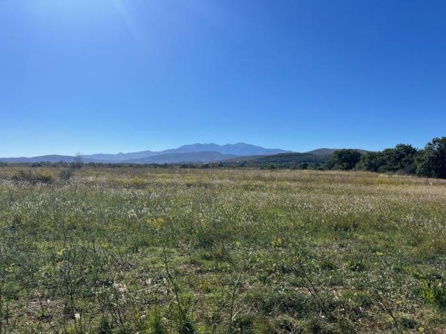 Terrain vente à Perpignan, Llupia