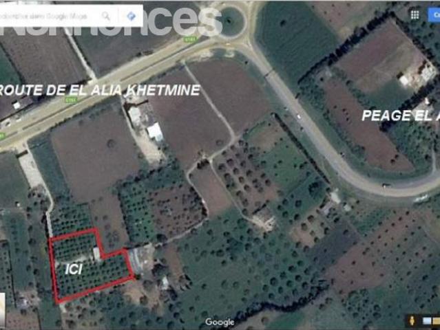 Terrain vente