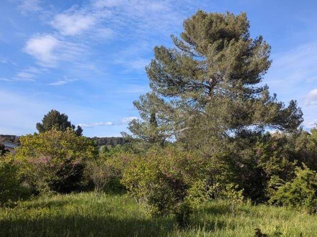 Terrain vente à Montpellier