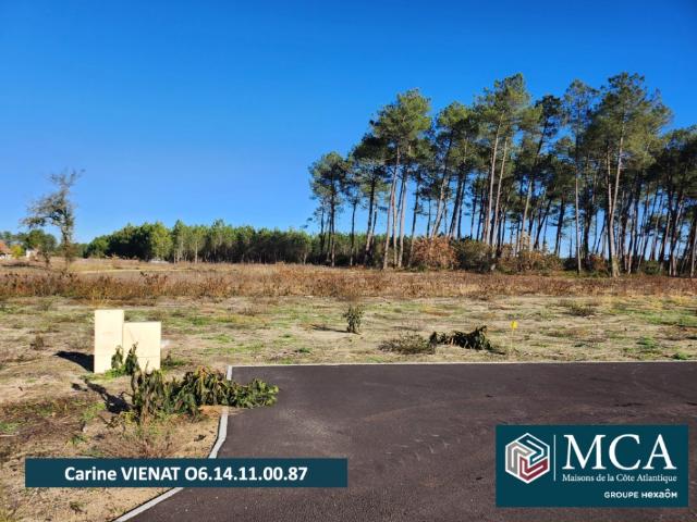 Terrain vente à Mont-de-Marsan, Pissos
