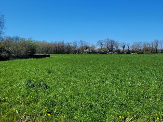 Terrain vente à La Roche-sur-Yon, La Ferrière