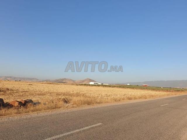 Propriété vente à Azrou