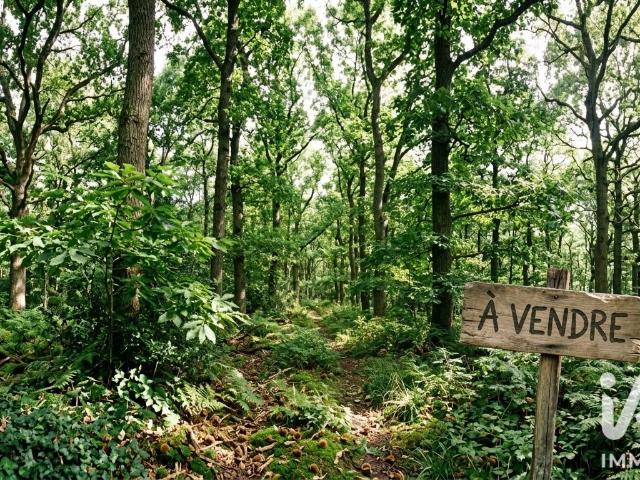 Terrain vente à La Pradario, Monbahus