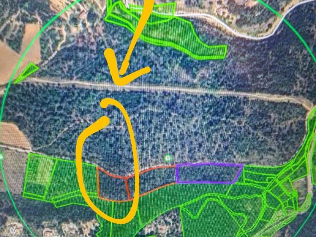 Terrain vente à Arrondissement de Draguignan, Lorgues