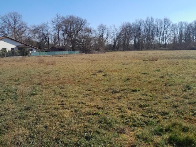 Terrain vente à France métropolitaine, Arsac