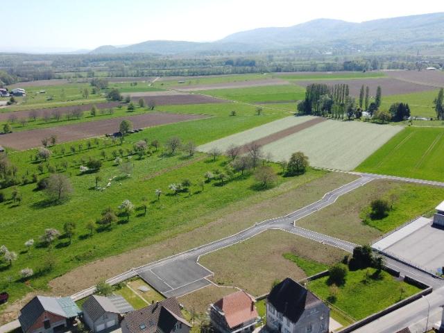 Terrain vente à Altkirch, Raedersdorf