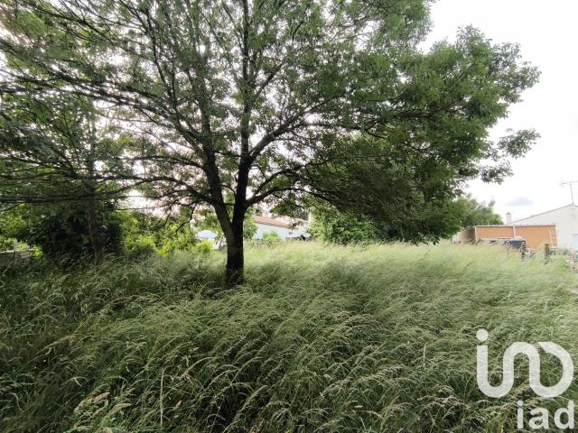 Terrain vente à Moutiers-les-mauxfaits, Vendée