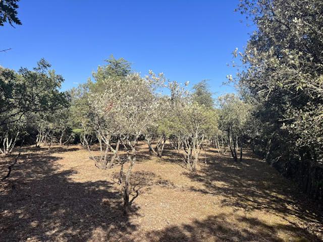 Terrain vente à Apt, Cabrières-d'avignon
