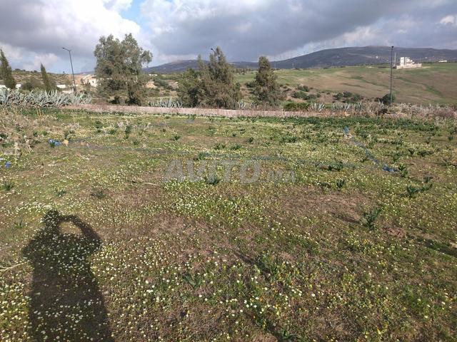 Propriété vente à Tangero, Tanger-Tétouan
