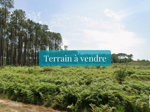 Terrain vente à Dax, Saint-michel-escalus