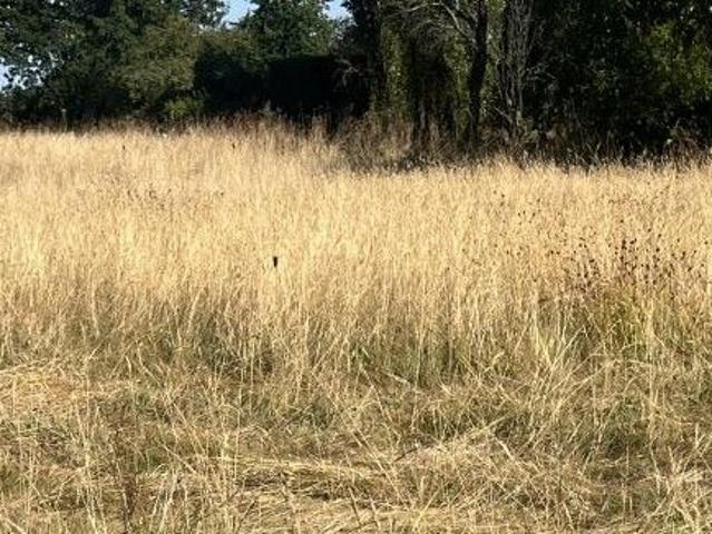 Terrain vente à France métropolitaine, Château-thébaud