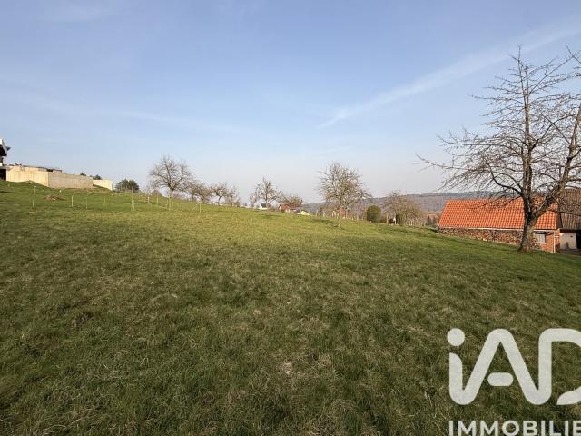 Terrain vente à Saverne, Reinhardsmunster