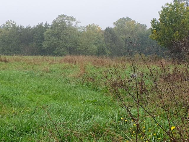 Terrain vente à Libourne, Tizac-de-lapouyade