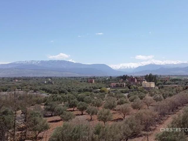 Terrain vente à Marrakech, L'Oriental