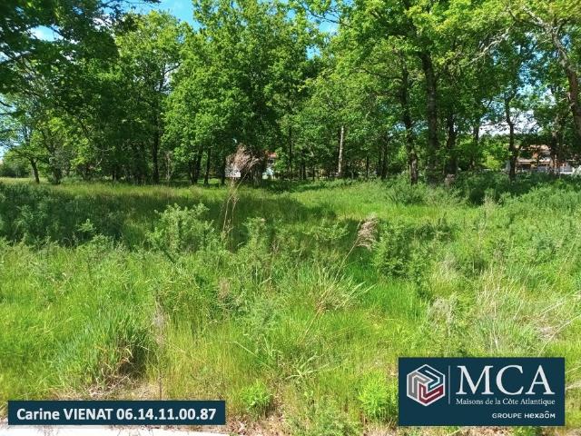 Terrain vente à Pissos, Landes
