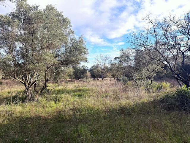 Terrain vente à Uzès, Gard