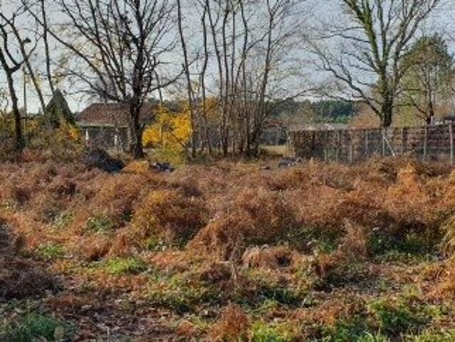 Terrain vente à Mont-de-Marsan, Saint-paul-en-born