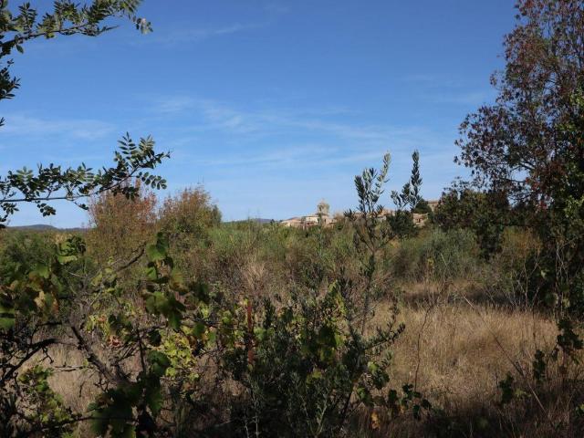 Terrain vente à Béziers, La Livinière