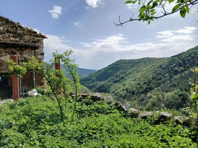 Terrain vente à Céret, Corsavy