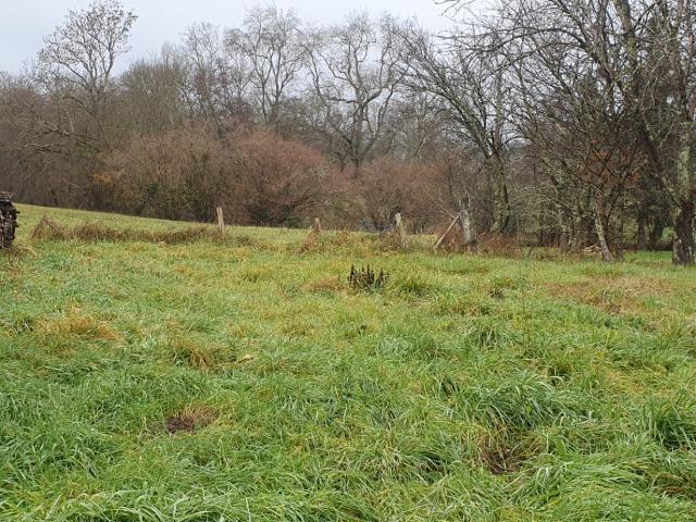 Terrain vente à Libourne, Asques