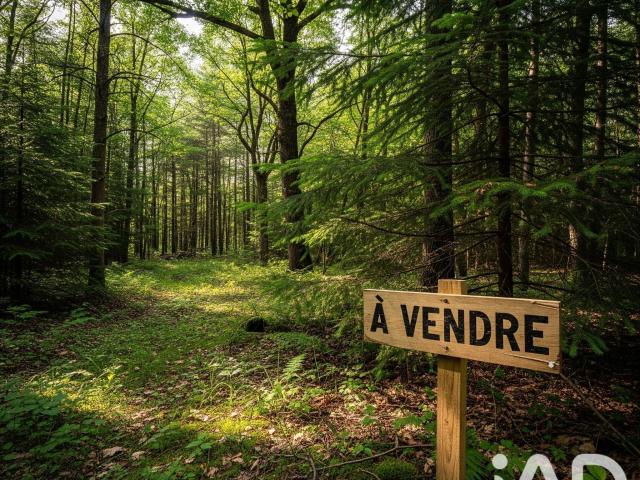 Terrain vente à Lesparre-Médoc, Arsac
