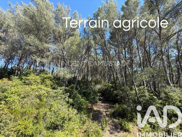 Terrain vente à Arrondissement de Toulon, La Cadière-d'azur
