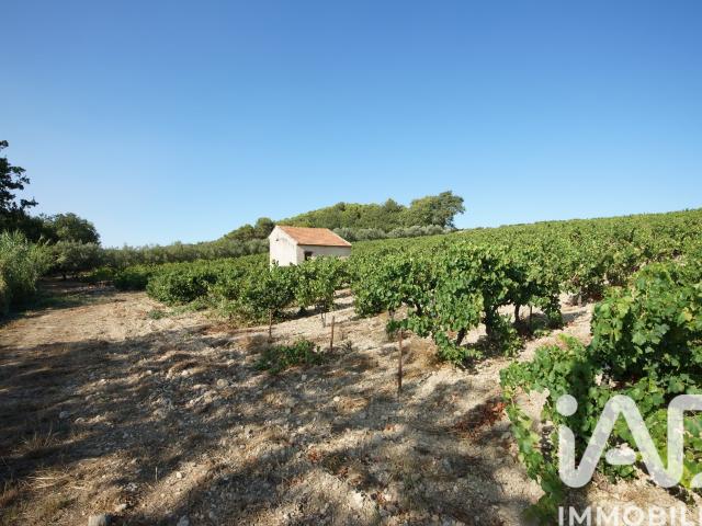 Terrain vente à Nyons, Saint-maurice-sur-eygues