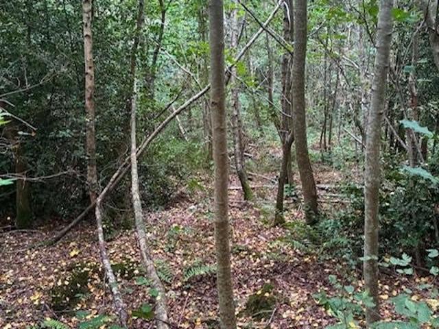 Terrain vente à Vouziers, La Croix-aux-bois