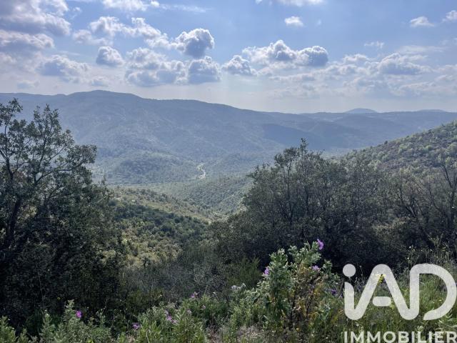 Terrain vente à Arrondissement de Draguignan, Vidauban