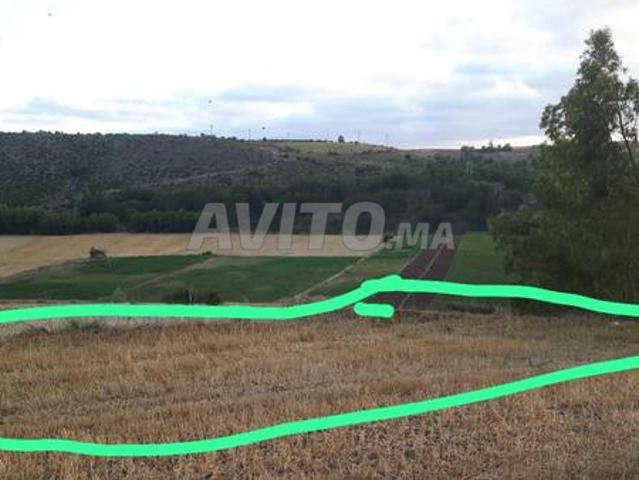 Propriété vente à El Ma, Gharb-Chrarda-Beni Hssen