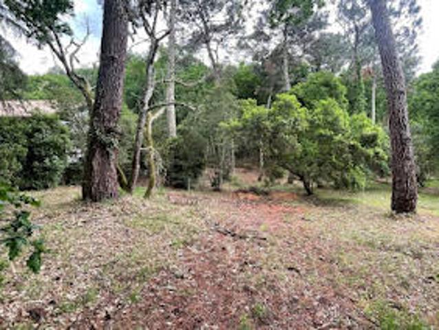 Terrain vente à Arcachon