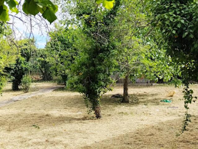Terrain vente à Torcy