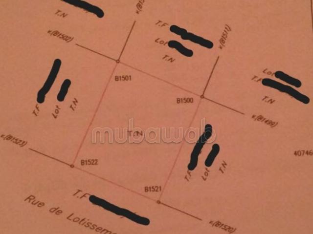 Terrain vente à Lyautey