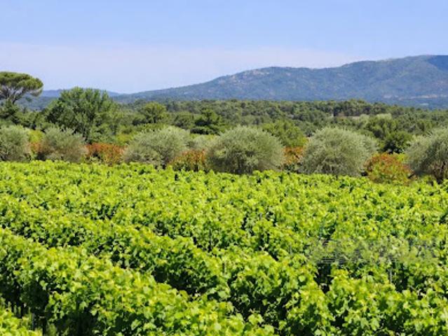 Terrain vente à Brignoles, Le Cannet-des-maures